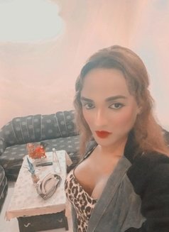 Ts Shilpa Jaan - Transsexual escort in New Delhi Photo 16 of 17