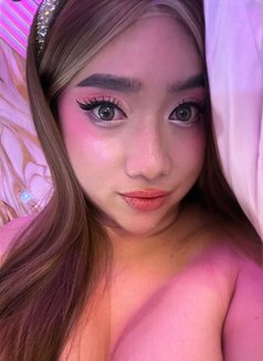Ts Simple Micka - Transsexual escort in Manila Photo 2 of 7