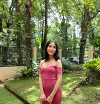 Ts Slut Ellie - Transsexual escort in Manila