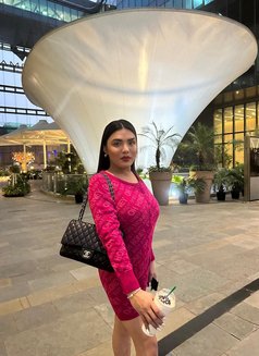 TS Sofia Chang - Transsexual escort in Singapore Photo 5 of 15