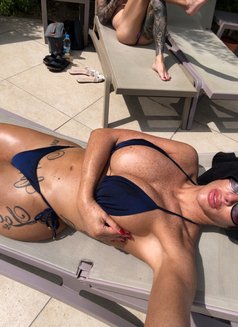 Ts Sophieluxe - Transsexual escort in Paris Photo 13 of 17