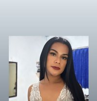 Ts Stefani - Transsexual escort in Bali