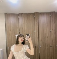 Ts Sweet Sofia - Transsexual escort in Manila