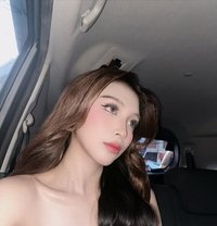 Ts Sweet Sofia - Transsexual escort in Manila
