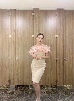 Ts Sweet Sofia - Transsexual escort in Manila Photo 3 of 7