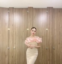 Ts Sweet Sofia - Transsexual escort in Manila