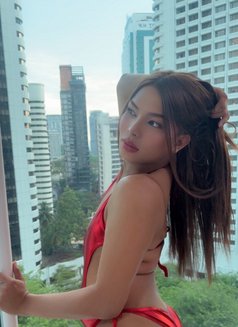 Ts Tasha Mey power top and bottom - Transsexual escort in Kuala Lumpur Photo 7 of 15