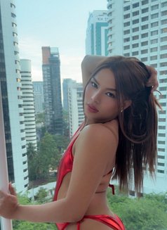 Ts Tasha Mey power top and bottom - Transsexual escort in Kuala Lumpur Photo 6 of 15