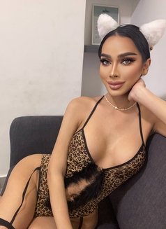 BabyDiva 🇹🇭fuck hard Bigcock - Transsexual escort in İstanbul Photo 1 of 26