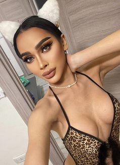 BabyDiva 🇹🇭fuck hard Bigcock - Transsexual escort in İstanbul Photo 14 of 26