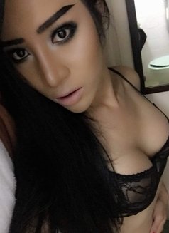 Ts Thai Vivian Is Back - Transsexual escort in Hong Kong Photo 1 of 19
