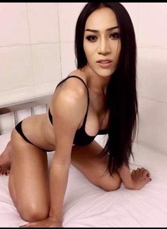 Ts Thai Vivian Is Back - Transsexual escort in Hong Kong Photo 19 of 19