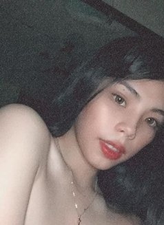 Ts Tiffanykate - Transsexual escort in Manila Photo 3 of 7
