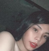 Ts Tiffanykate - Acompañantes transexual in Manila