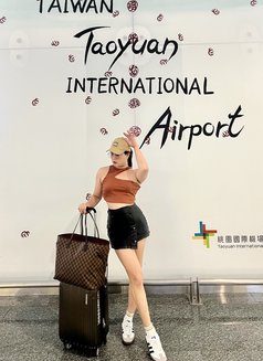 Ts(tina) - Transsexual escort in Taipei Photo 9 of 14