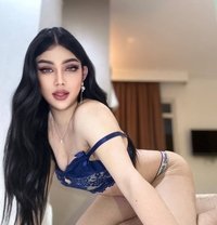 Ts Top (Big Cock) - Transsexual escort in Ipoh