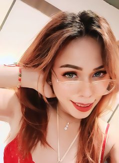 Shemale Best SVC Subang Jaya - Transsexual escort in Kuala Lumpur Photo 3 of 4