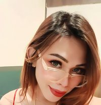 Shemale Best SVC Subang Jaya - Transsexual escort in Kuala Lumpur