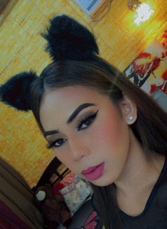 Ts Trixie - Transsexual escort in Davao Photo 1 of 21