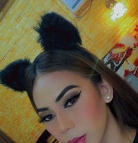 Ts Trixie - Transsexual escort in Davao