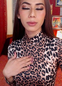 Ts Trixie - Transsexual escort in Davao Photo 8 of 21
