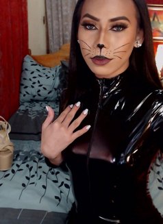 Ts Trixie - Transsexual escort in Davao Photo 12 of 21