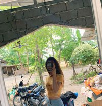 Ts Trixie - Transsexual escort in Davao