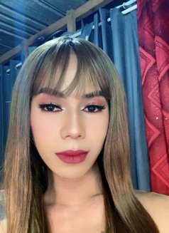 Ts Trixie - Transsexual escort in Davao Photo 3 of 21