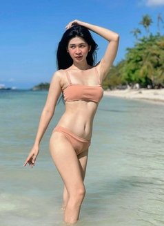 TS Trixie Shemale6969 - Transsexual escort in Boracay Photo 1 of 12