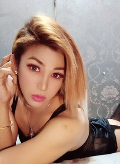 Ts Trixie Grey - Transsexual escort in Makati City Photo 7 of 13