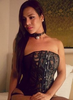 Ts Veronica Bigcock - Acompañantes transexual in Seoul Photo 8 of 30