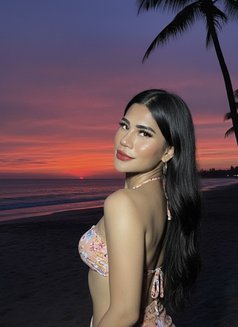 Ts/viola - Acompañantes transexual in Bali Photo 7 of 30