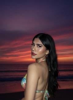 Ts/viola - Acompañantes transexual in Bali Photo 9 of 30