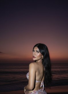 Ts/viola - Acompañantes transexual in Bali Photo 10 of 30