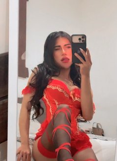 Ts/viola - Acompañantes transexual in Bali Photo 16 of 24