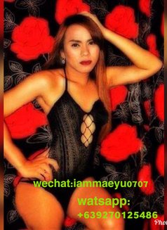Ts Wendy - Transsexual escort in Manila Photo 5 of 6