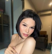 TS Yanisa sexy curvy versatile - Transsexual escort in Bangkok