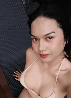 Ts Yen Cutie - Transsexual escort in Bangkok Photo 6 of 6
