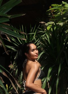 Ts Yhumie - Acompañantes transexual in Sasebo Photo 23 of 26