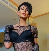 Ts. Zara Xxl - Transsexual escort in Dubai