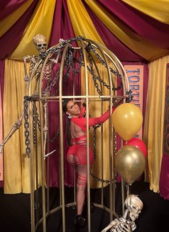 Ts Zyiera Ozawa - Transsexual escort in London Photo 23 of 29