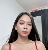 Tsandreabigkak - Transsexual escort in Manila