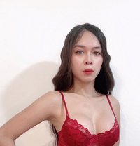 Tsandreabigkak - Acompañantes transexual in Manila