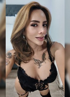 TsEvianEvans A Highly World Class VIP - Transsexual escort in Perth Photo 3 of 30