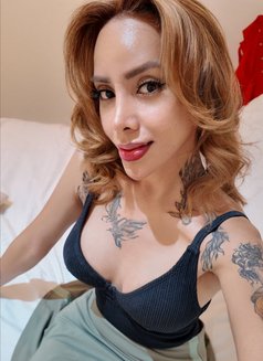 TsEvianEvans A Highly World Class VIP - Transsexual escort in Perth Photo 9 of 30