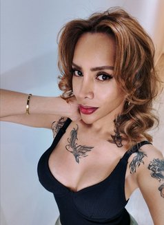 TsEvianEvans A Highly World Class VIP - Transsexual escort in Perth Photo 10 of 30