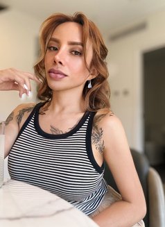 TsEvianEvans A Highly World Class VIP - Transsexual escort in Perth Photo 11 of 30