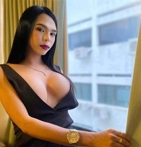 Tsfoxy69 - Transsexual escort agency in Taipei