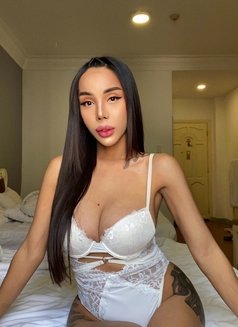 TSHOTMARIE - Transsexual escort in Ho Chi Minh City Photo 21 of 30