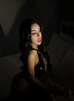 ️TSHOTMARIE - Transsexual escort in Ho Chi Minh City Photo 9 of 30